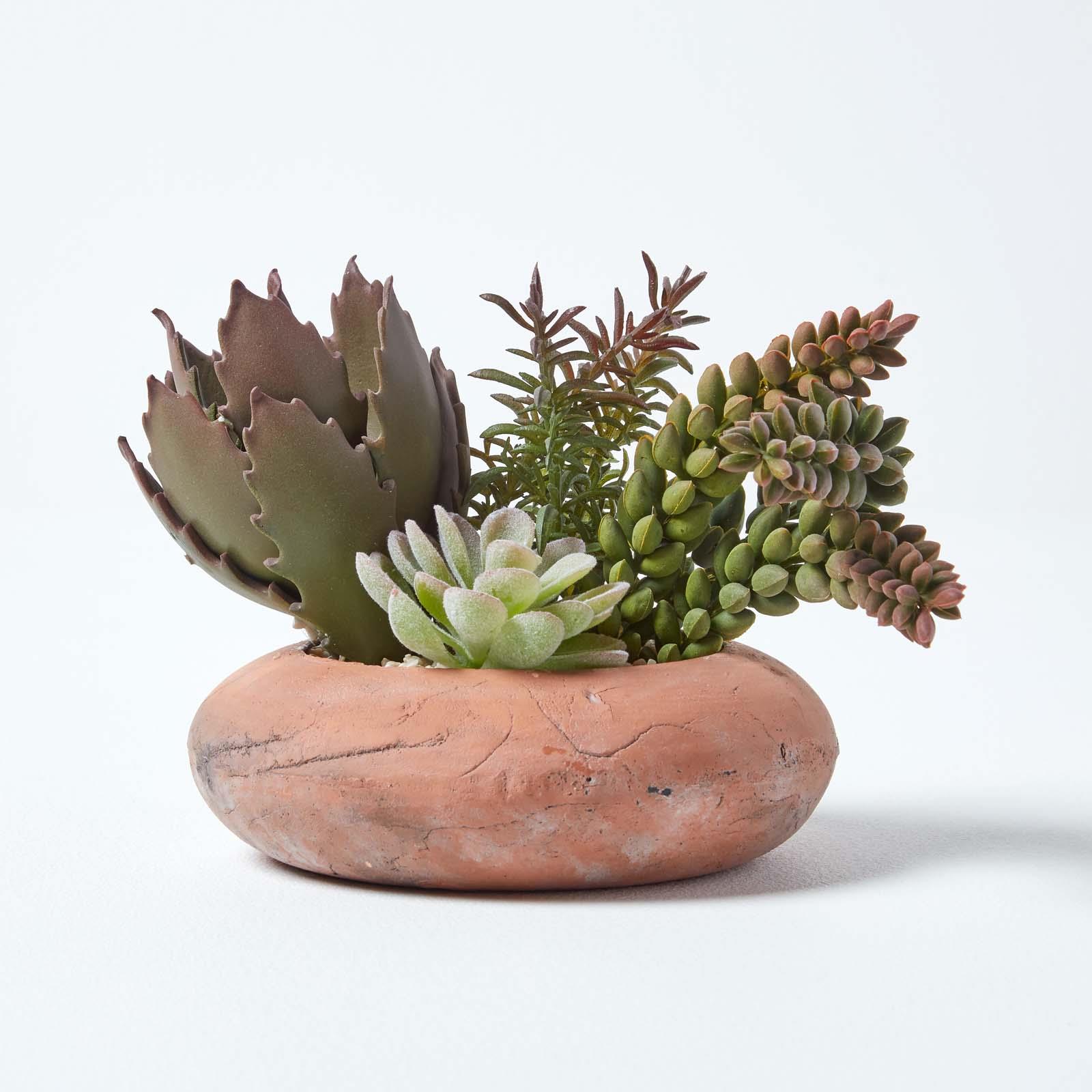 Artificial Succulent Plant Cactus/Cacti in Decorative Pot For Home/Office Décor - Picture 195 of 200
