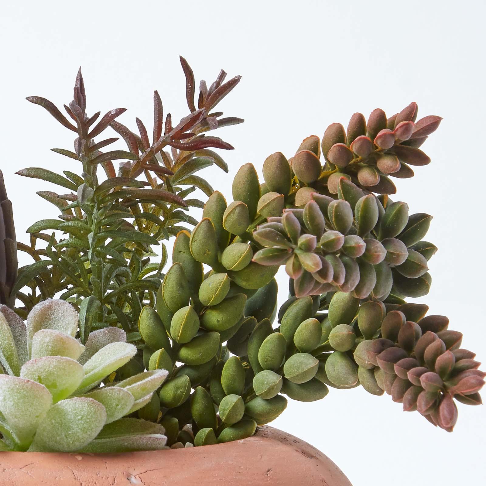 Artificial Succulent Plant Cactus/Cacti in Decorative Pot For Home/Office Décor - Picture 198 of 200
