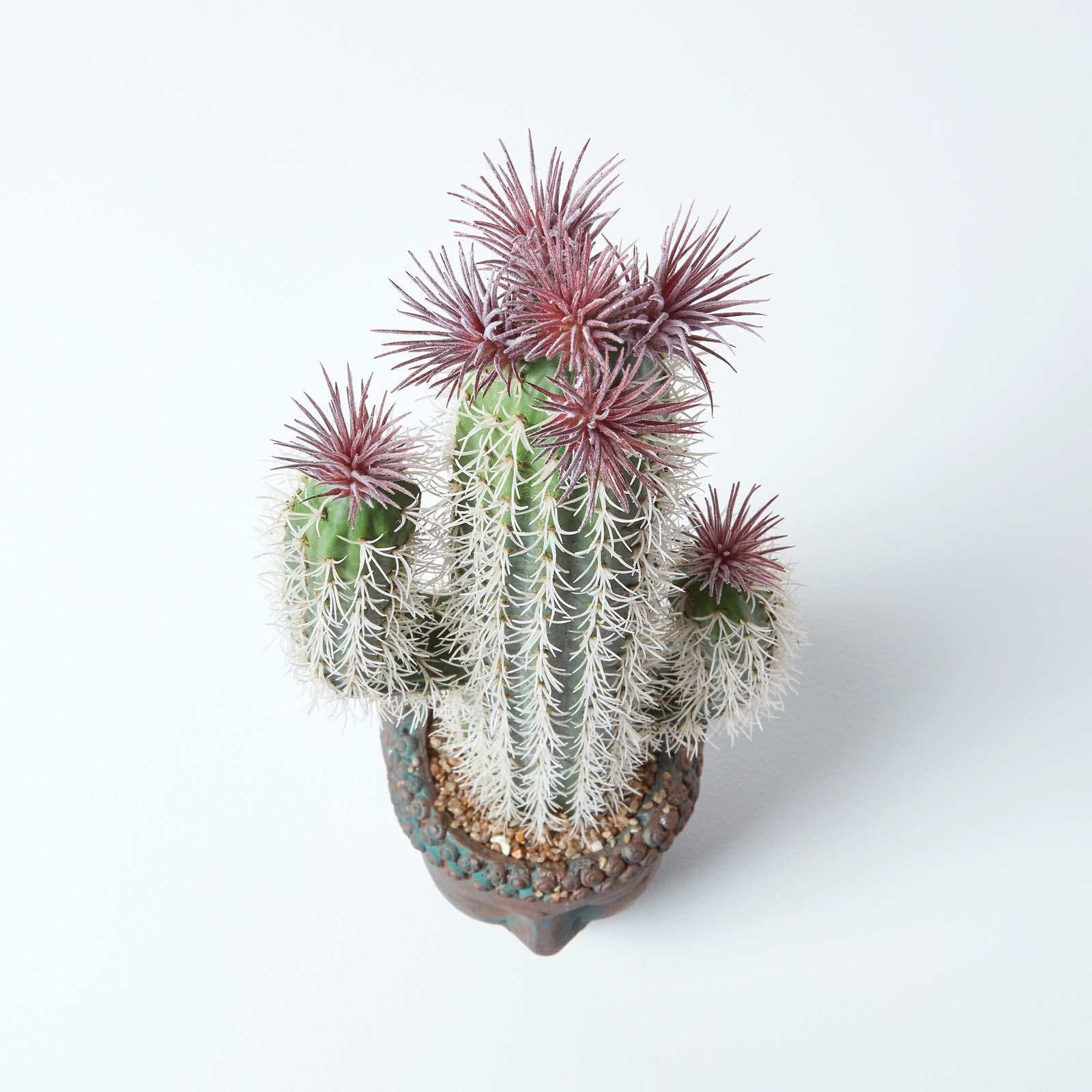 Artificial Succulent Plant Cactus/Cacti in Decorative Pot For Home/Office Décor - Picture 105 of 200