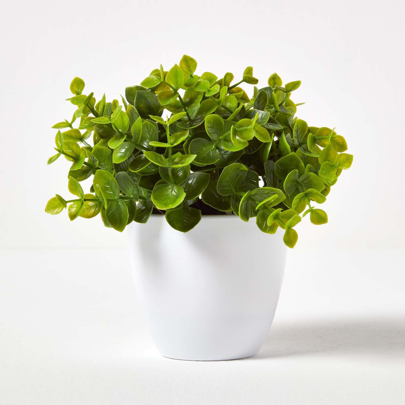 Artificial Succulent Plant Cactus/Cacti in Decorative Pot For Home/Office Décor - Picture 144 of 200