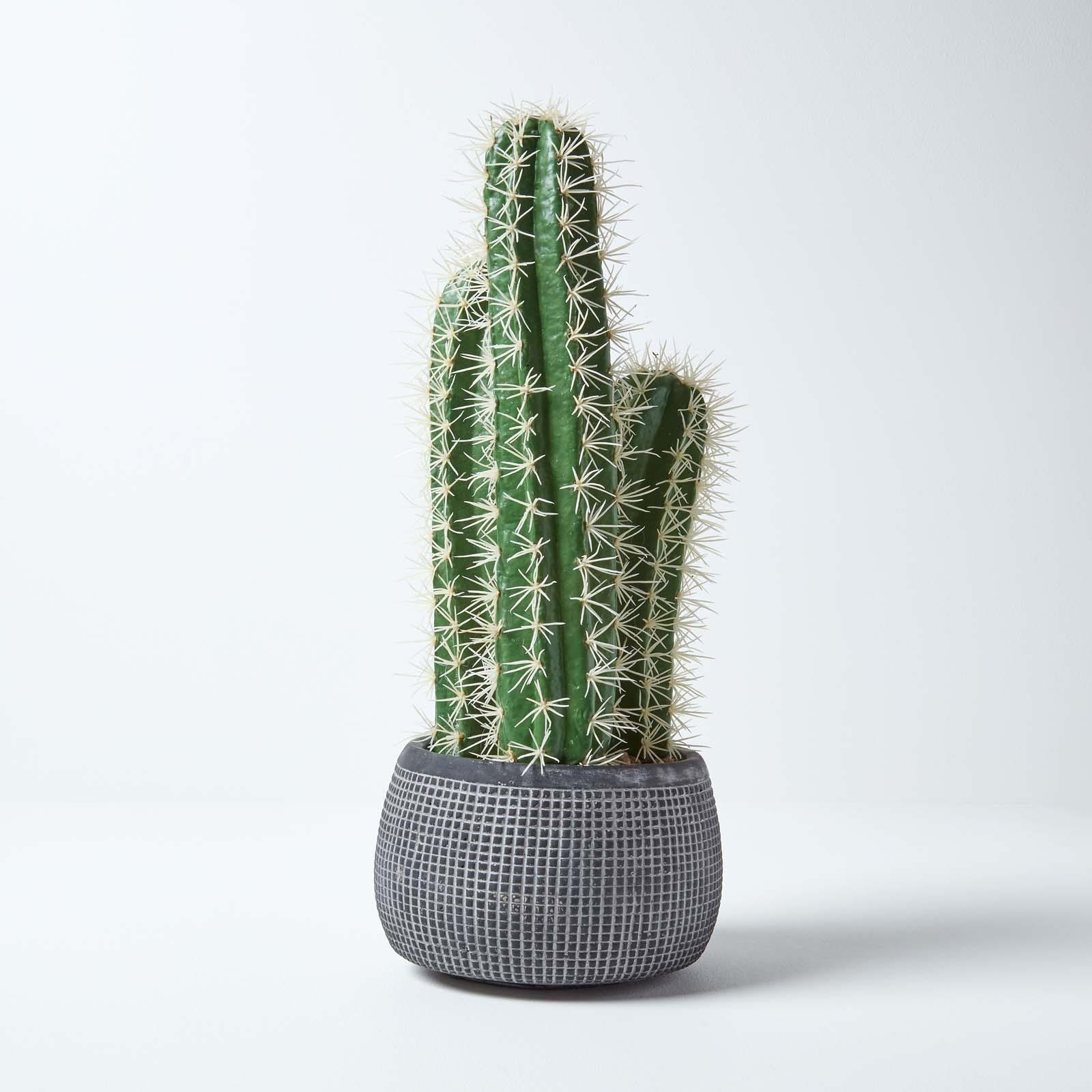 Artificial Succulent Plant Cactus/Cacti in Decorative Pot For Home/Office Décor - Picture 142 of 200