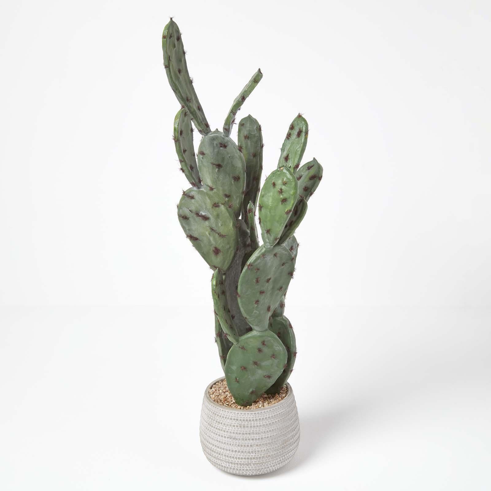 Artificial Succulent Plant Cactus/Cacti in Decorative Pot For Home/Office Décor - Picture 155 of 200