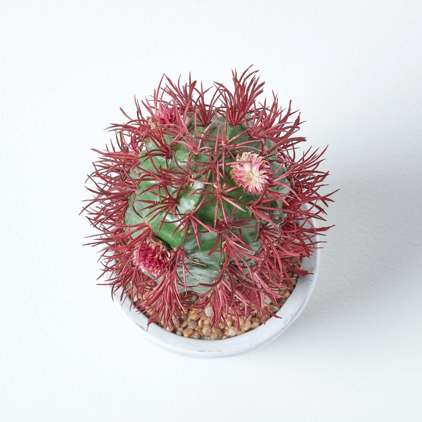 Artificial Succulent Plant Cactus/Cacti in Decorative Pot For Home/Office Décor - Picture 47 of 200