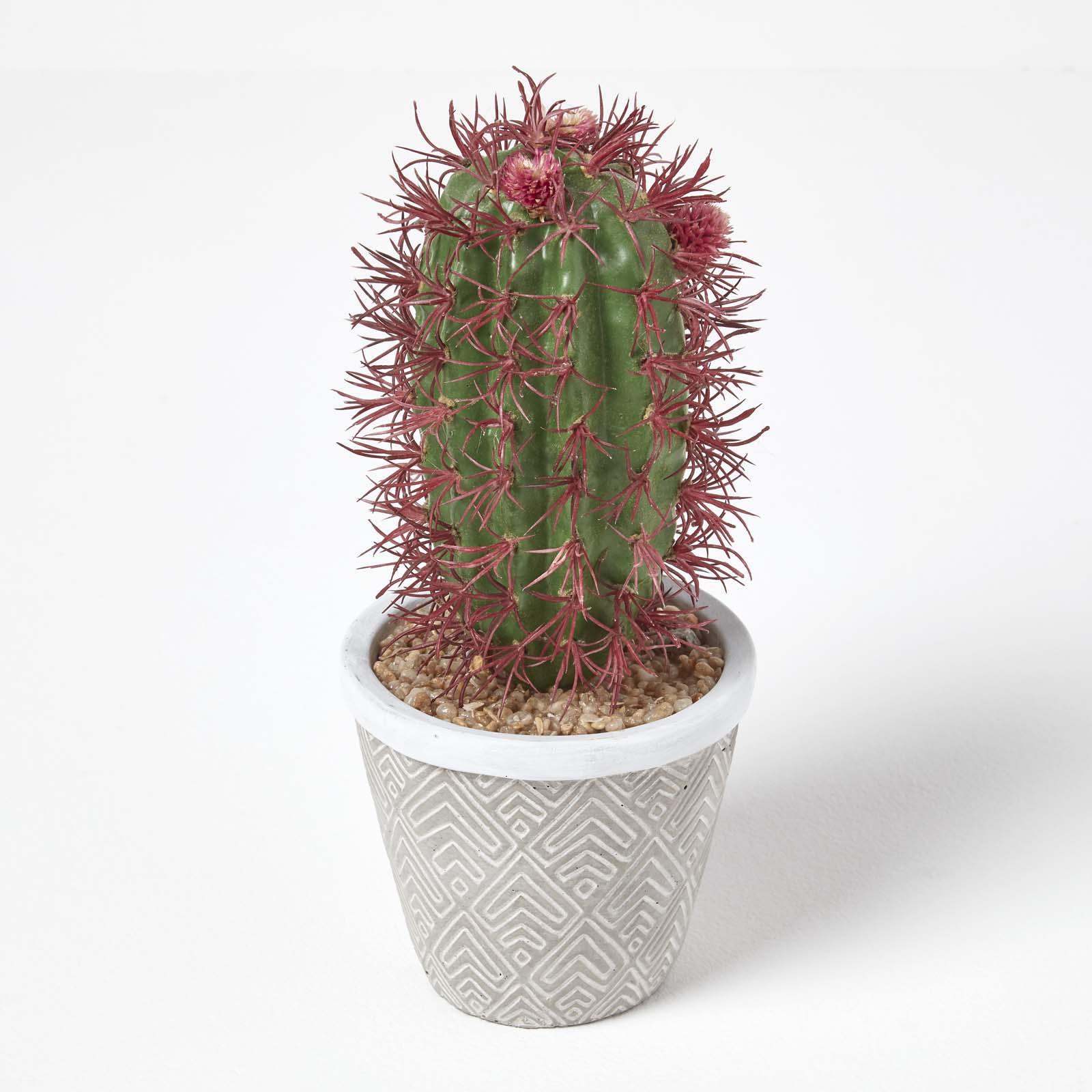 Artificial Succulent Plant Cactus/Cacti in Decorative Pot For Home/Office Décor - Picture 44 of 200