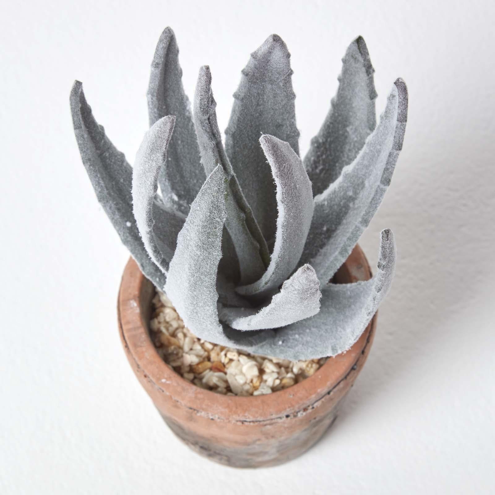 Artificial Succulent Plant Cactus/Cacti in Decorative Pot For Home/Office Décor - Picture 9 of 200