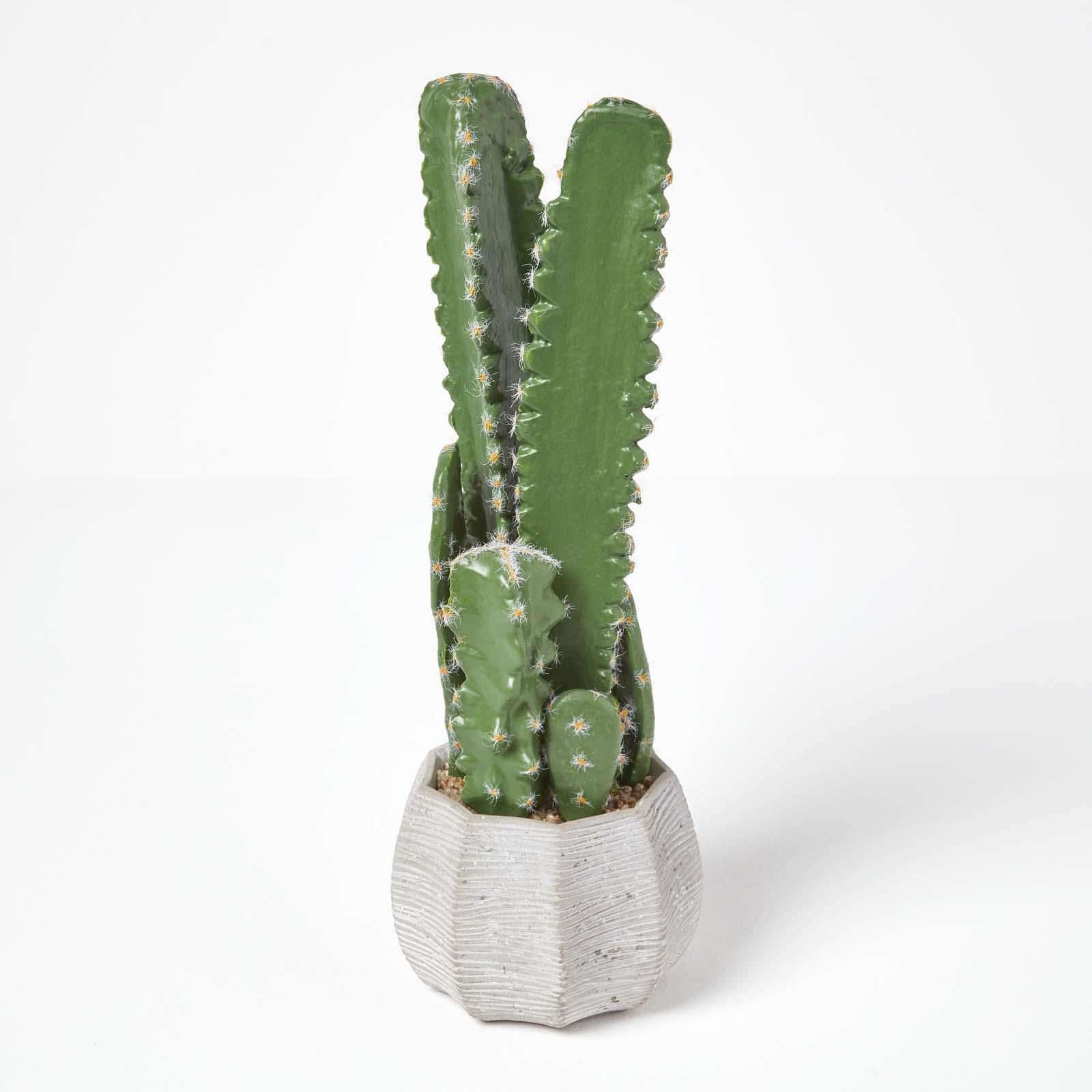 Artificial Succulent Plant Cactus/Cacti in Decorative Pot For Home/Office Décor - Picture 131 of 200