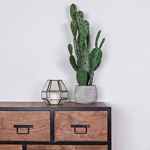 Artificial Succulent Plant Cactus/Cacti in Decorative Pot For Home/Office Décor - Picture 156 of 200