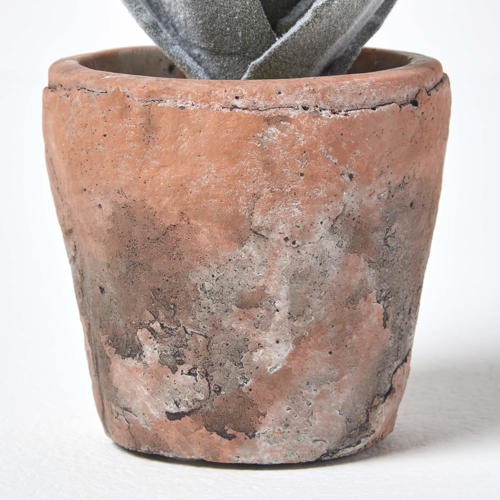 Artificial Succulent Plant Cactus/Cacti in Decorative Pot For Home/Office Décor - Picture 10 of 200