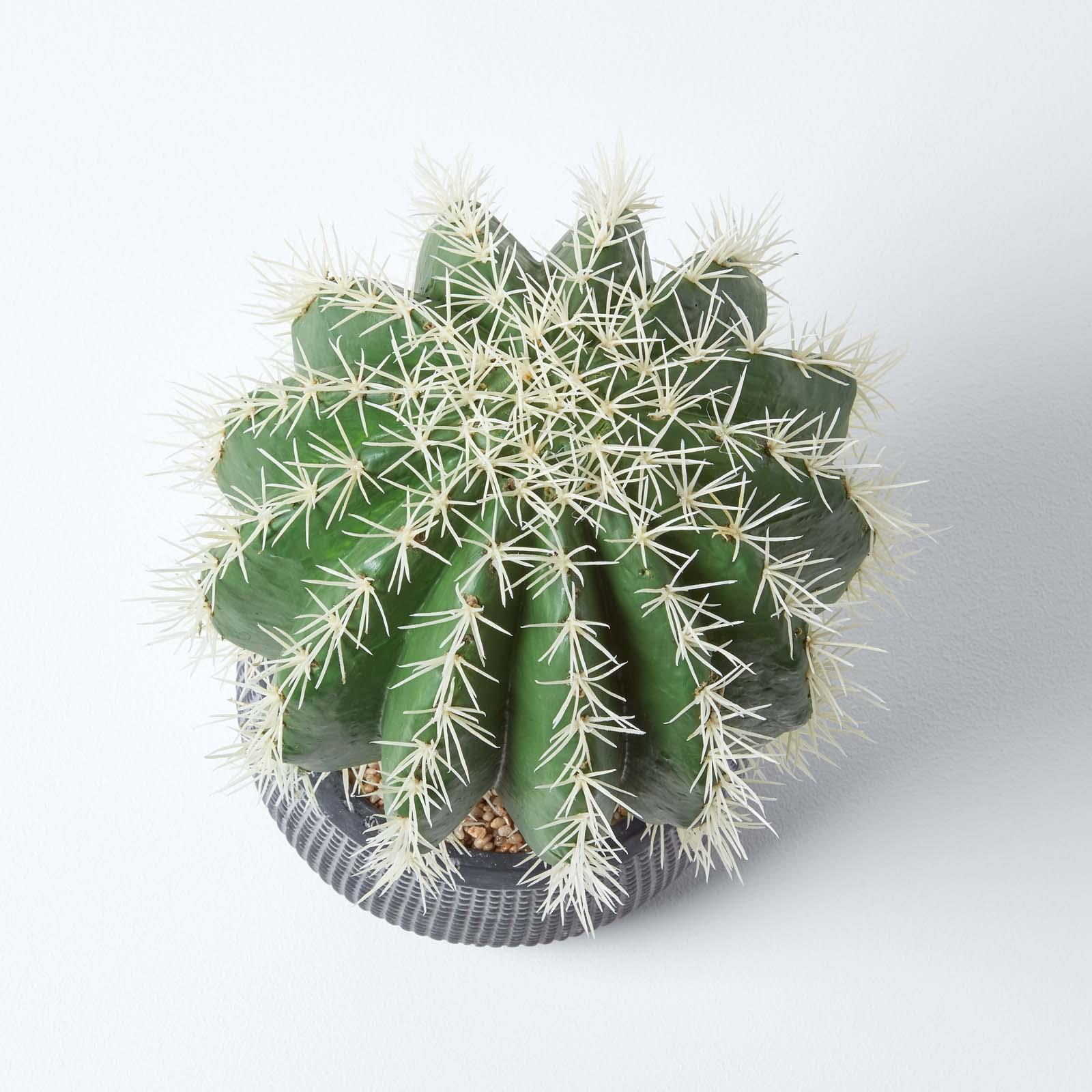 Artificial Succulent Plant Cactus/Cacti in Decorative Pot For Home/Office Décor - Picture 94 of 200