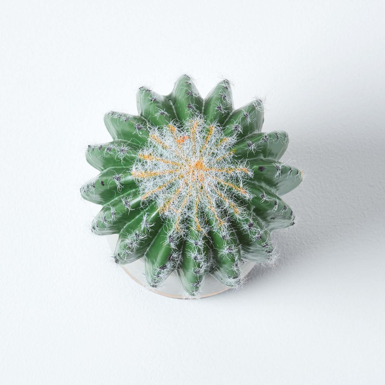 Artificial Succulent Plant Cactus/Cacti in Decorative Pot For Home/Office Décor - Picture 87 of 200