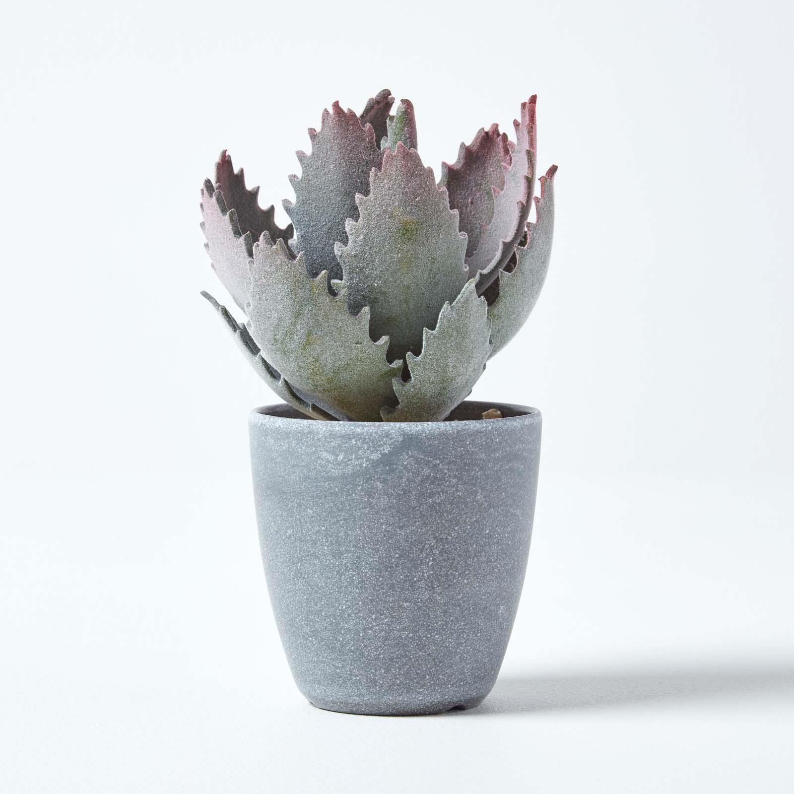 Artificial Succulent Plant Cactus/Cacti in Decorative Pot For Home/Office Décor - Picture 179 of 200
