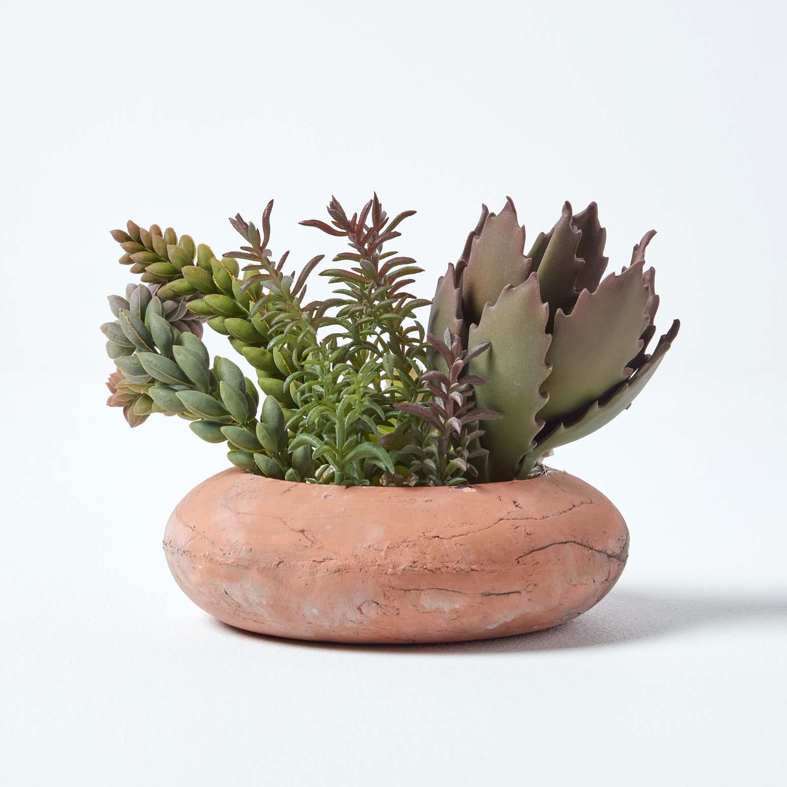 Artificial Succulent Plant Cactus/Cacti in Decorative Pot For Home/Office Décor - Picture 199 of 200