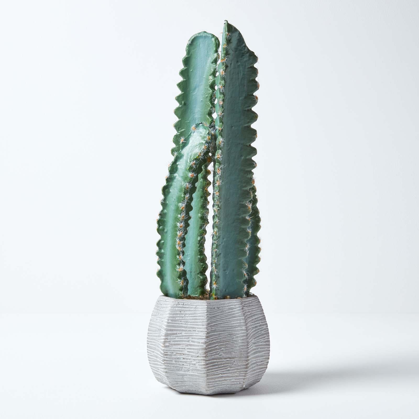 Artificial Succulent Plant Cactus/Cacti in Decorative Pot For Home/Office Décor - Picture 119 of 200