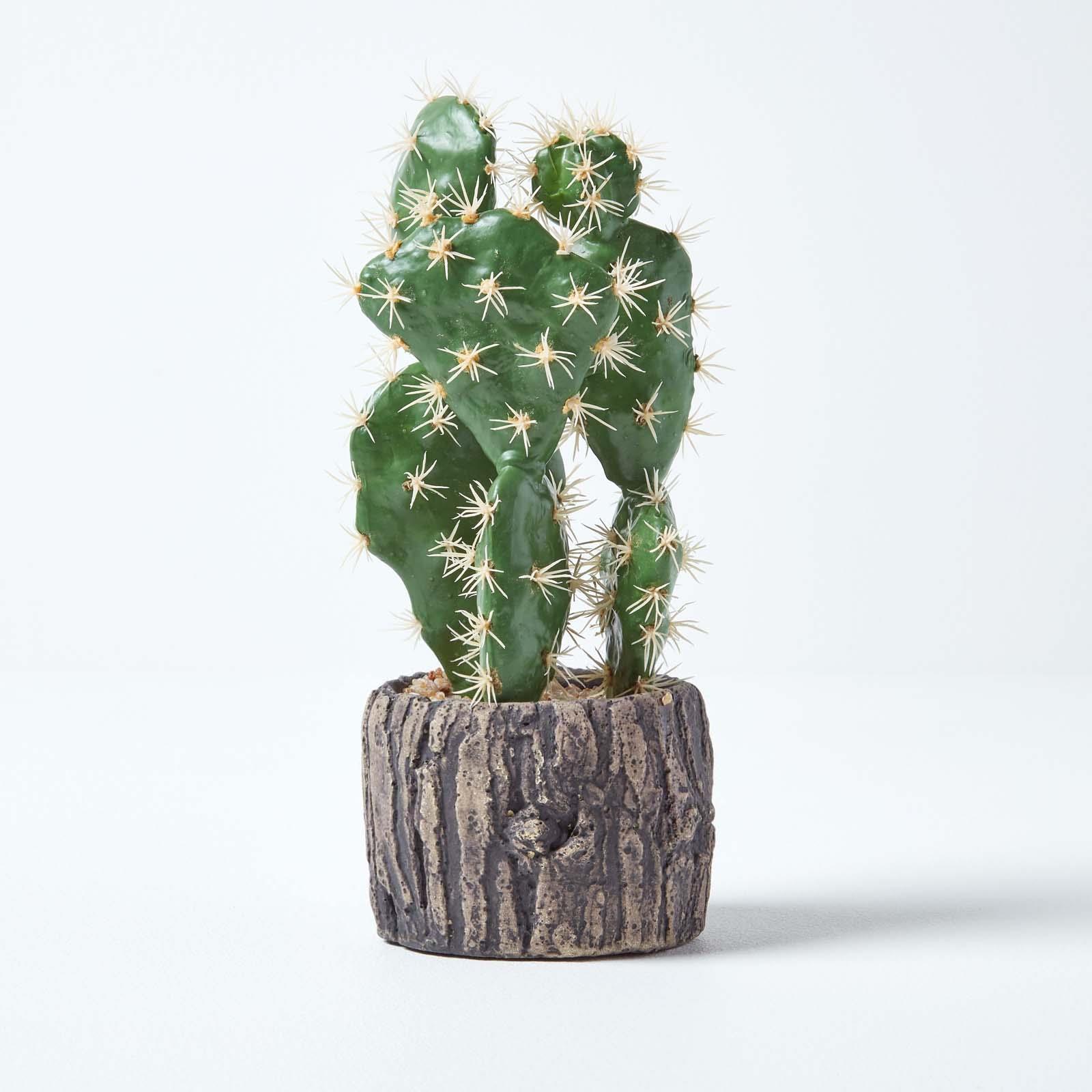 Artificial Succulent Plant Cactus/Cacti in Decorative Pot For Home/Office Décor - Picture 157 of 200