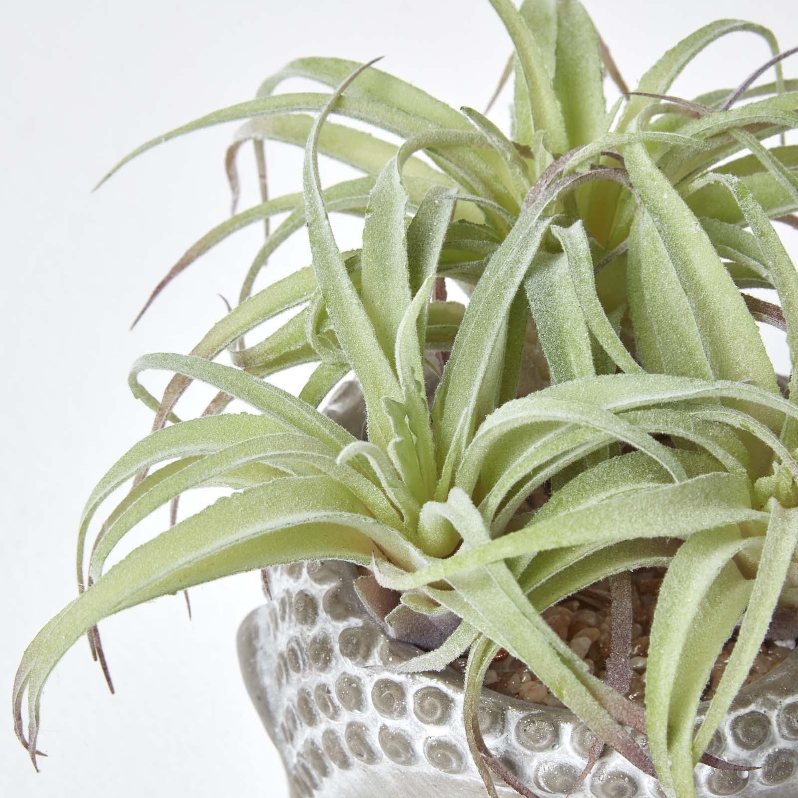 Artificial Succulent Plant Cactus/Cacti in Decorative Pot For Home/Office Décor - Picture 69 of 200