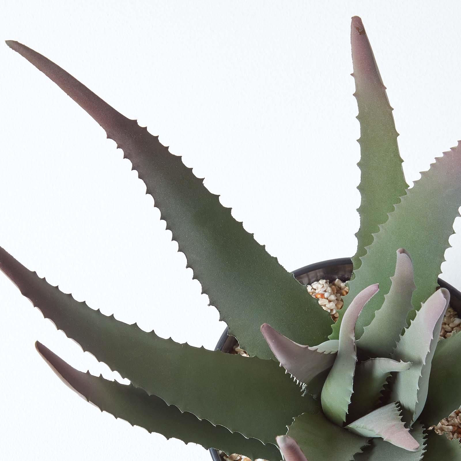 Artificial Succulent Plant Cactus/Cacti in Decorative Pot For Home/Office Décor - Picture 29 of 200