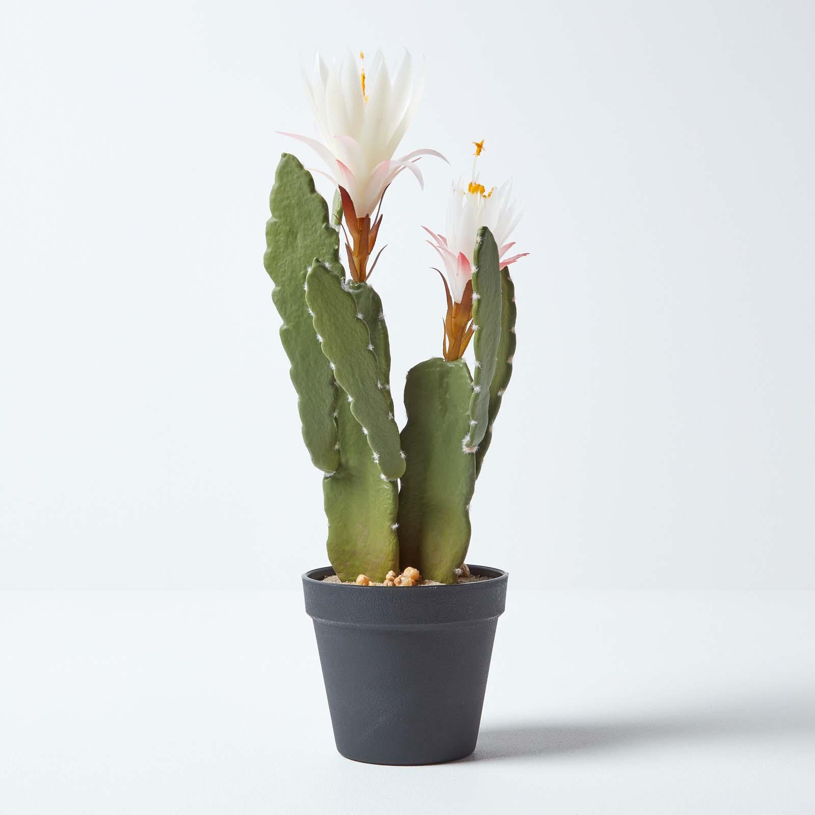 Artificial Succulent Plant Cactus/Cacti in Decorative Pot For Home/Office Décor - Picture 187 of 200