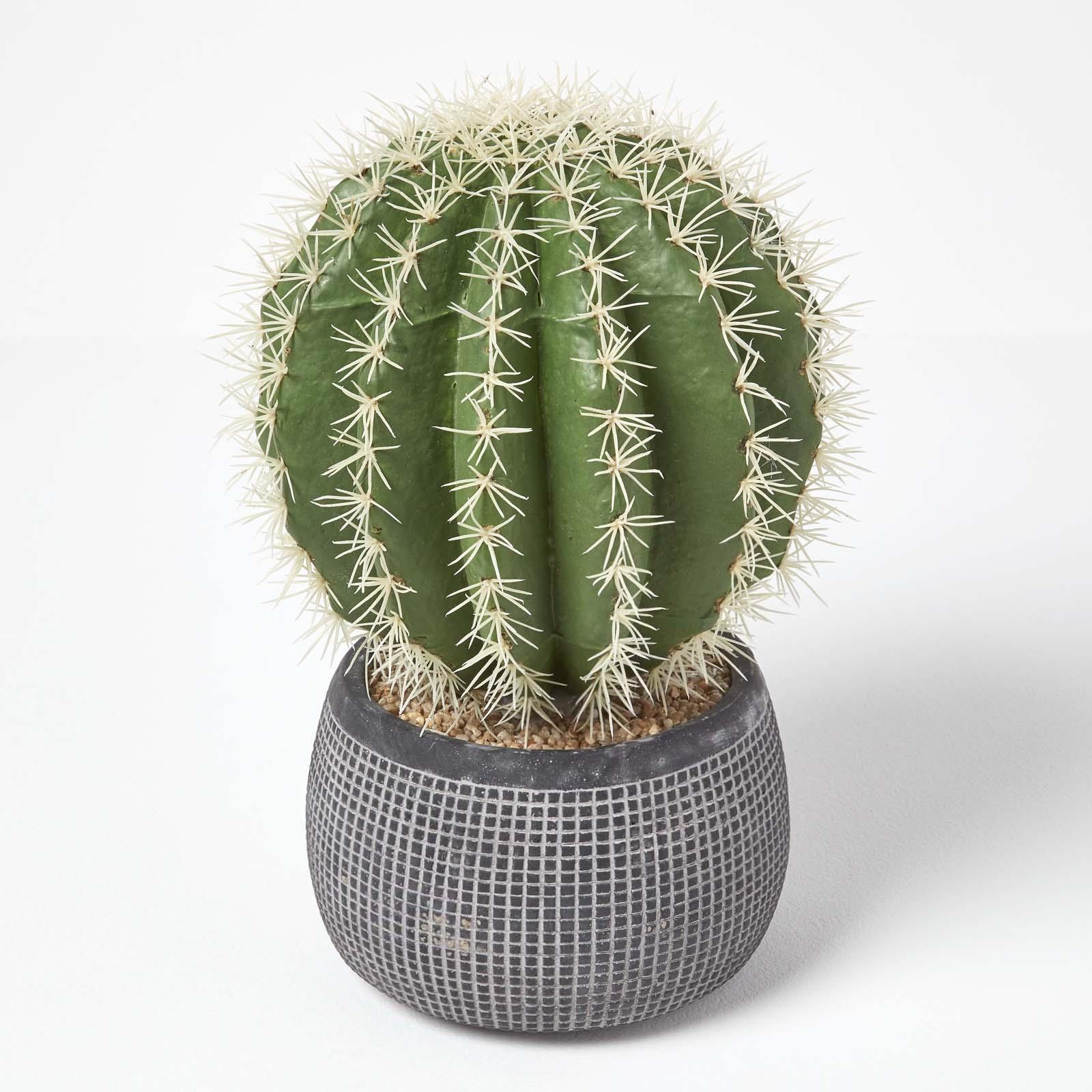 Artificial Succulent Plant Cactus/Cacti in Decorative Pot For Home/Office Décor - Picture 92 of 200