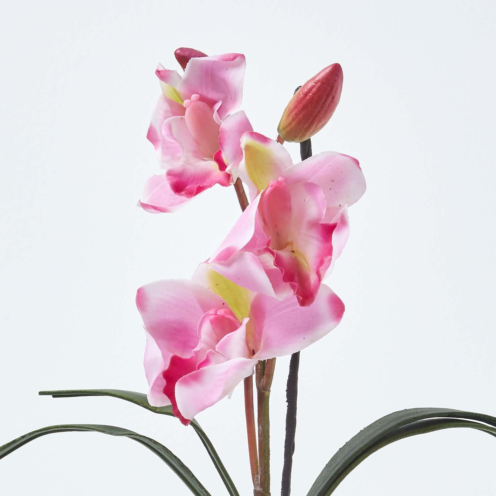 Cymbidium Artificial Orchid Flowers with Long Green Leaves for Home