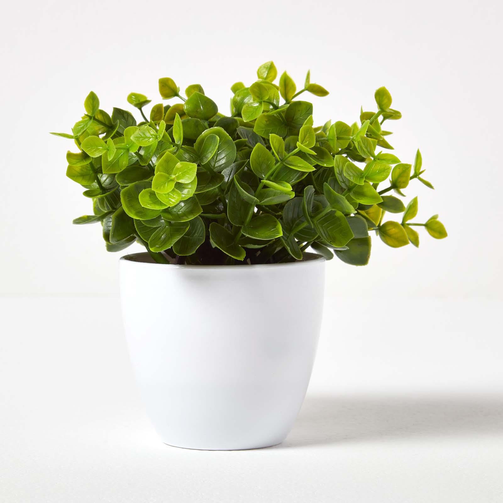 Artificial Succulent Plant Cactus/Cacti in Decorative Pot For Home/Office Décor - Picture 148 of 200