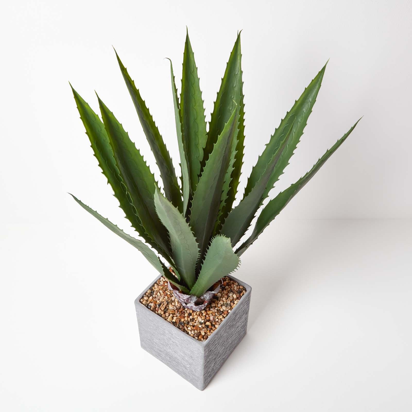Artificial Succulent Plant Cactus/Cacti in Decorative Pot For Home/Office Décor - Picture 3 of 200