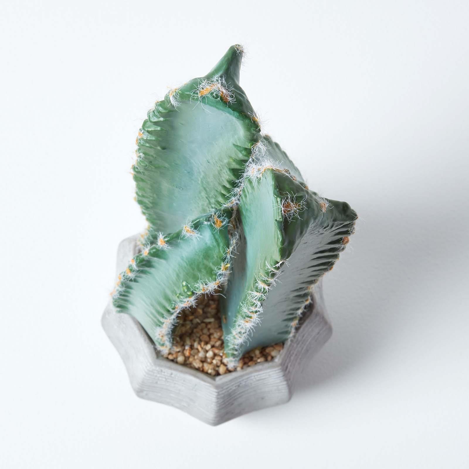 Artificial Succulent Plant Cactus/Cacti in Decorative Pot For Home/Office Décor - Picture 120 of 200