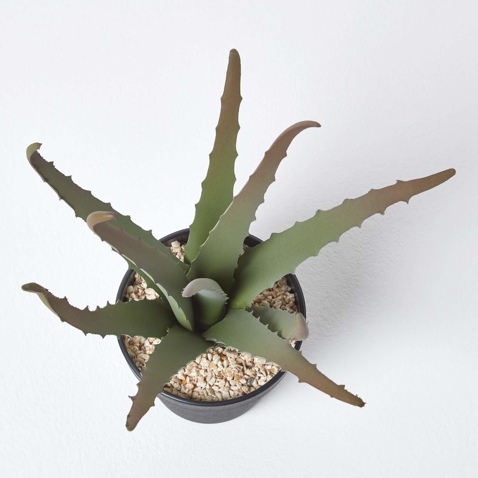 Artificial Succulent Plant Cactus/Cacti in Decorative Pot For Home/Office Décor - Picture 16 of 200