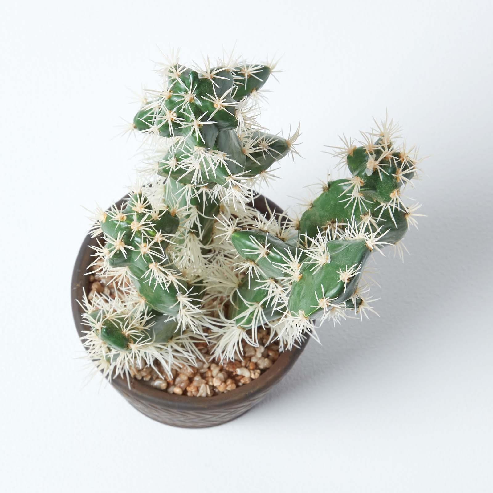 Artificial Succulent Plant Cactus/Cacti in Decorative Pot For Home/Office Décor - Picture 173 of 200