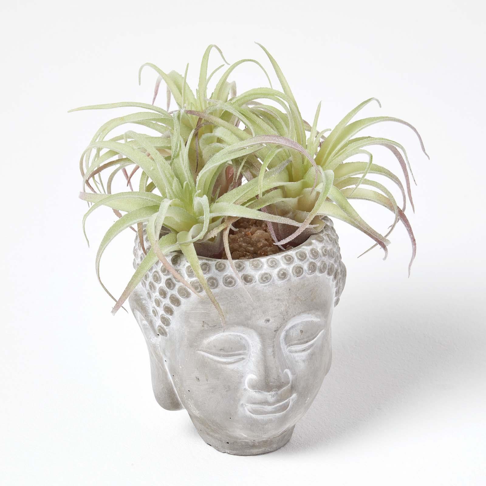 Artificial Succulent Plant Cactus/Cacti in Decorative Pot For Home/Office Décor - Picture 64 of 200