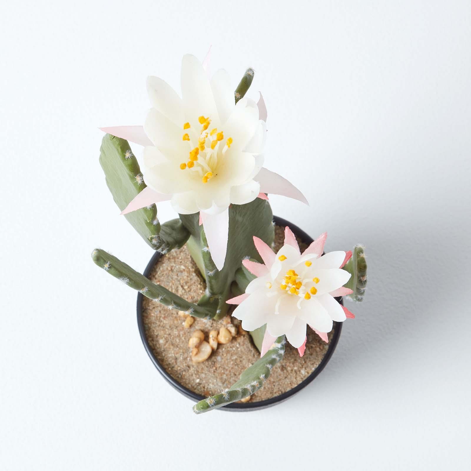 Artificial Succulent Plant Cactus/Cacti in Decorative Pot For Home/Office Décor - Picture 188 of 200