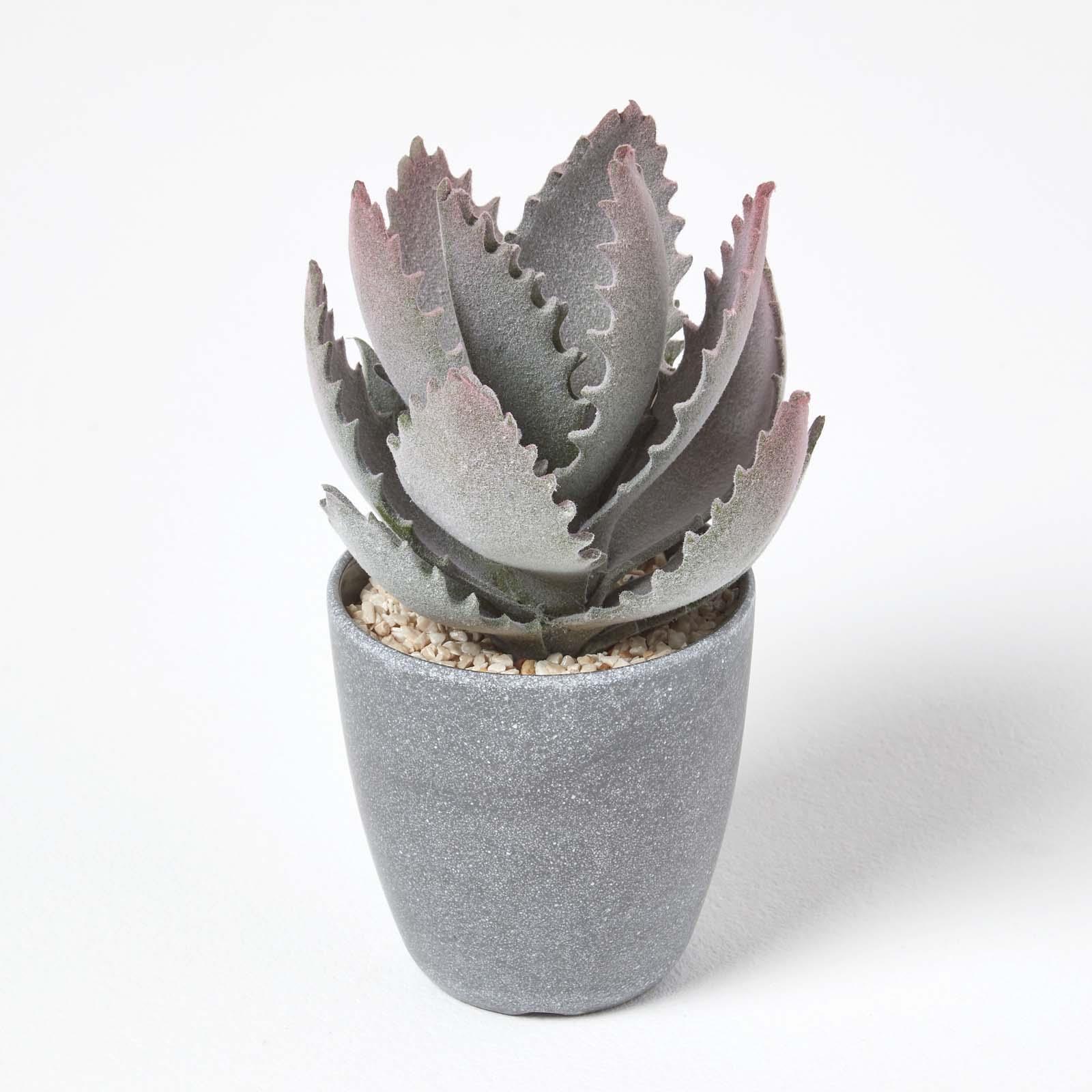 Artificial Succulent Plant Cactus/Cacti in Decorative Pot For Home/Office Décor - Picture 177 of 200
