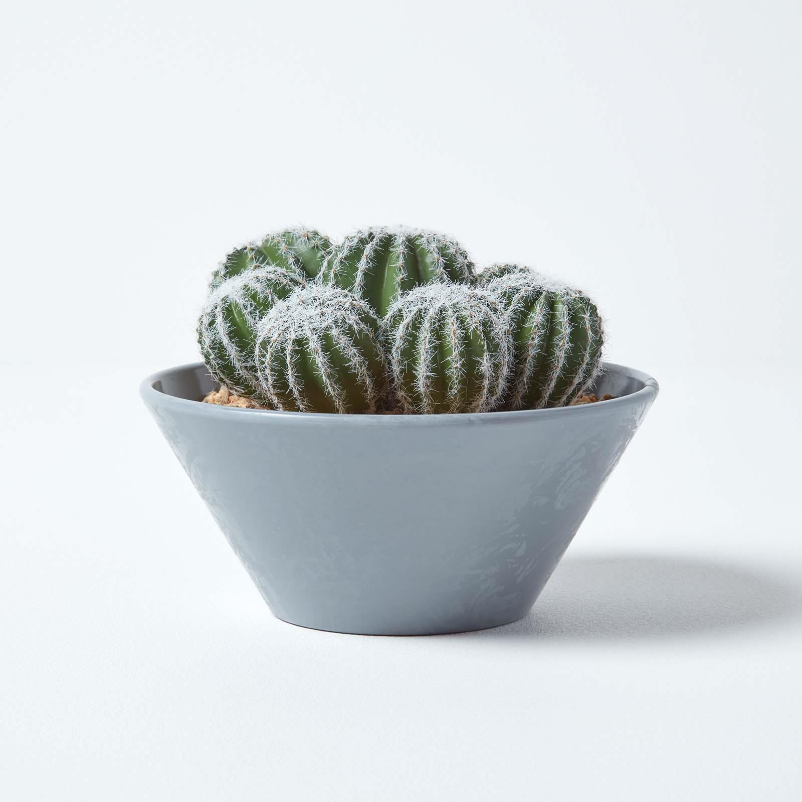Artificial Succulent Plant Cactus/Cacti in Decorative Pot For Home/Office Décor - Picture 83 of 200