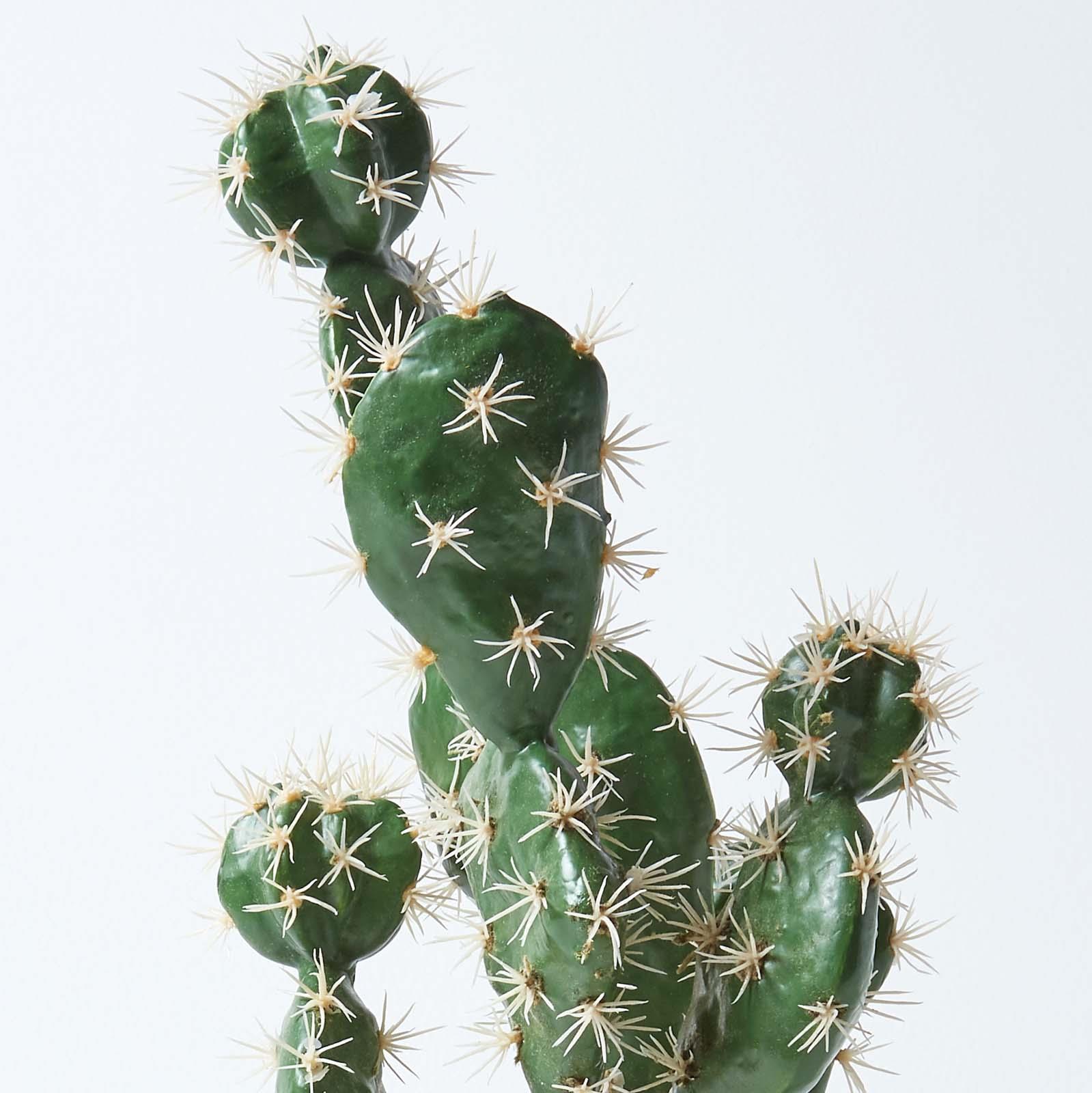 Artificial Succulent Plant Cactus/Cacti in Decorative Pot For Home/Office Décor - Picture 175 of 200