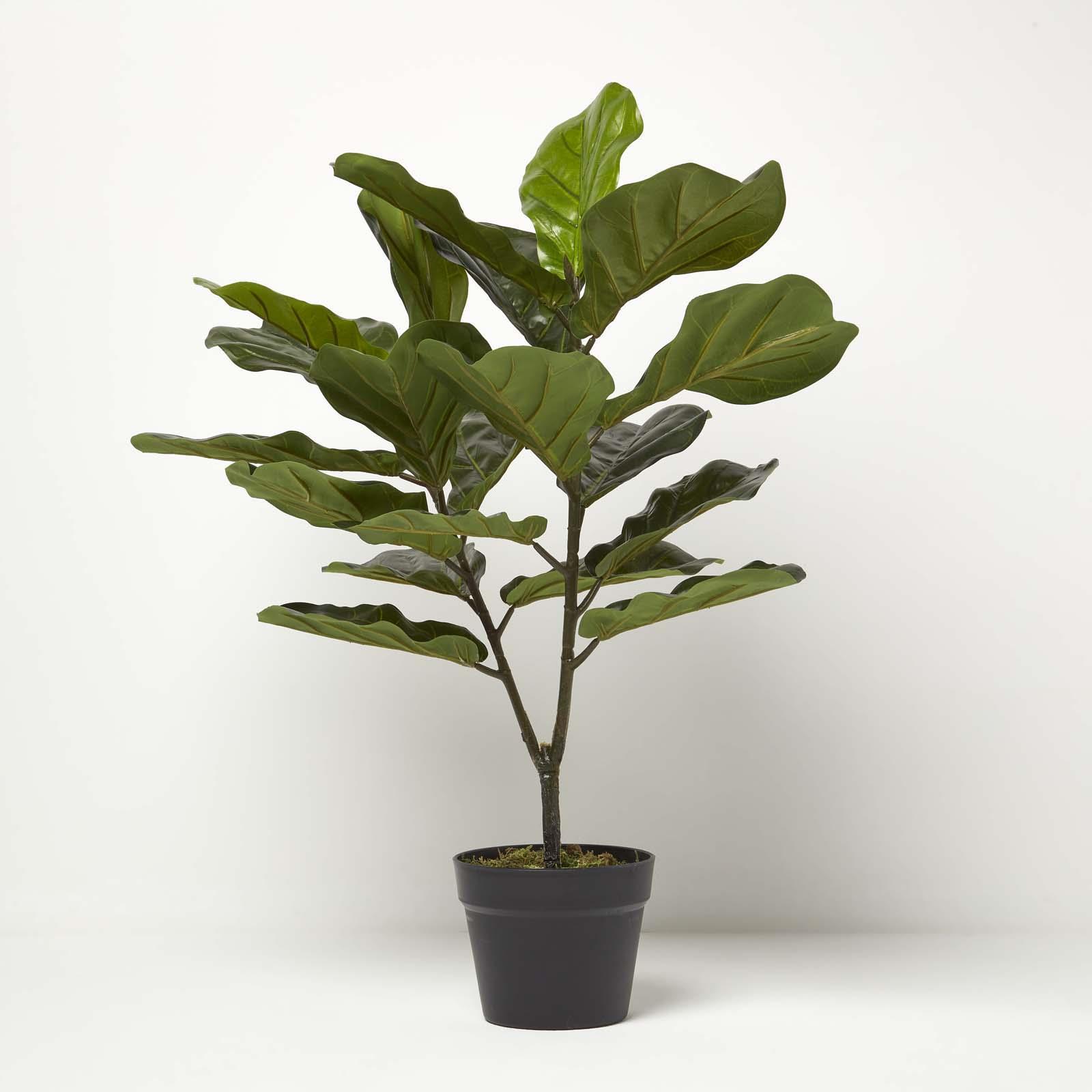 Realistic Artificial Palm Tree Ficus Plant Tropical Potted Plants Indoor Outdoor - Picture 42 of 67