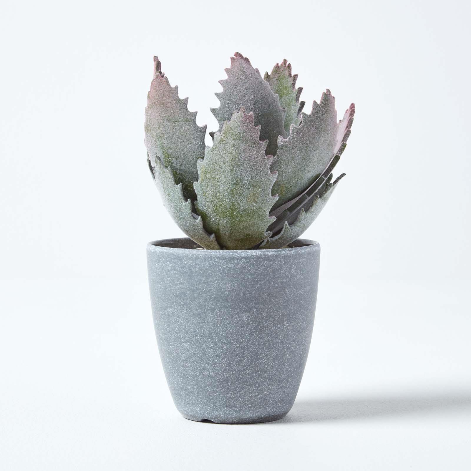 Artificial Succulent Plant Cactus/Cacti in Decorative Pot For Home/Office Décor - Picture 183 of 200
