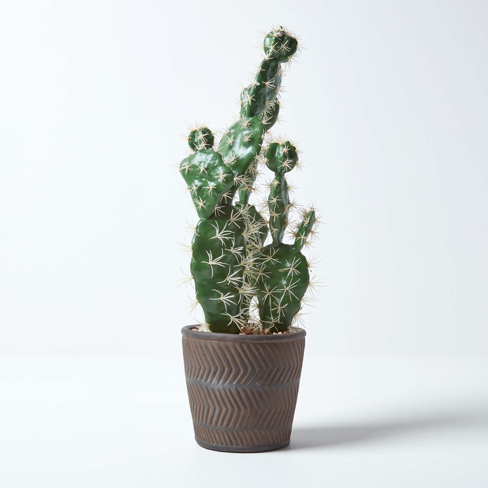 Artificial Succulent Plant Cactus/Cacti in Decorative Pot For Home/Office Décor - Picture 176 of 200