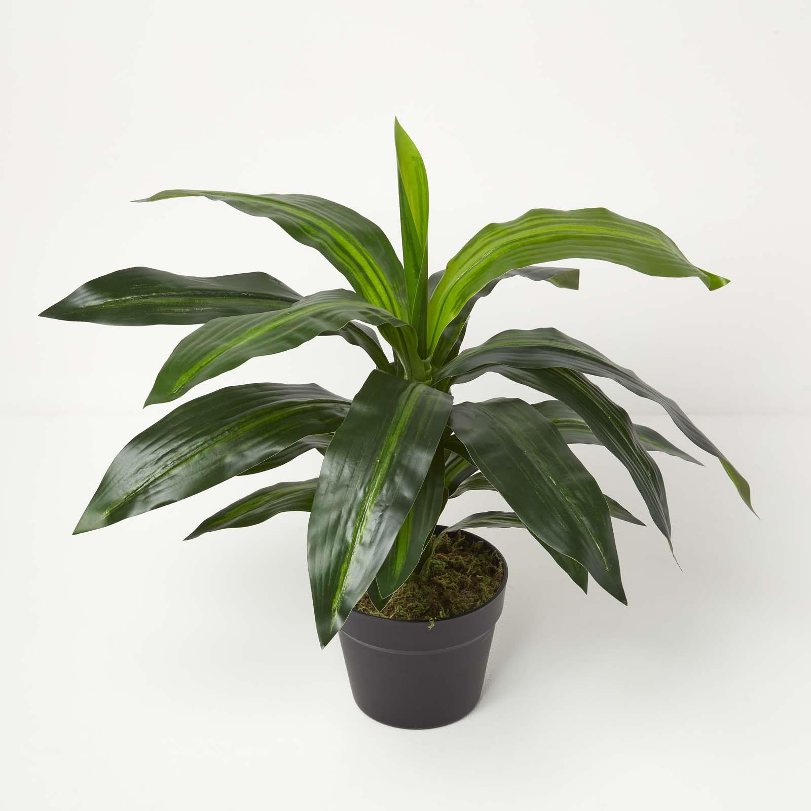Realistic Artificial Palm Tree Ficus Plant Tropical Potted Plants Indoor Outdoor - Picture 26 of 67