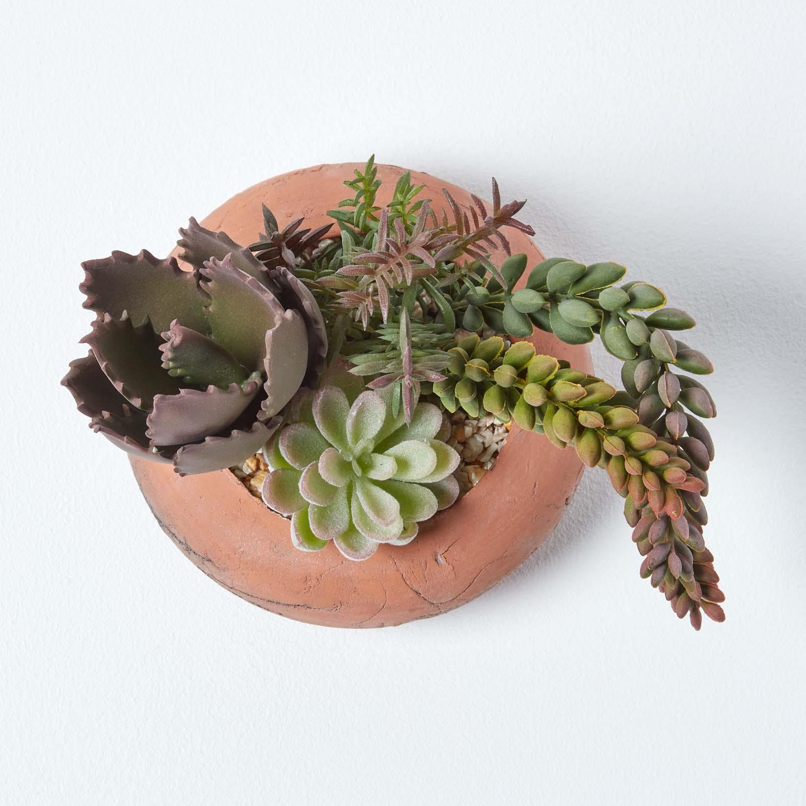 Artificial Succulent Plant Cactus/Cacti in Decorative Pot For Home/Office Décor - Picture 196 of 200