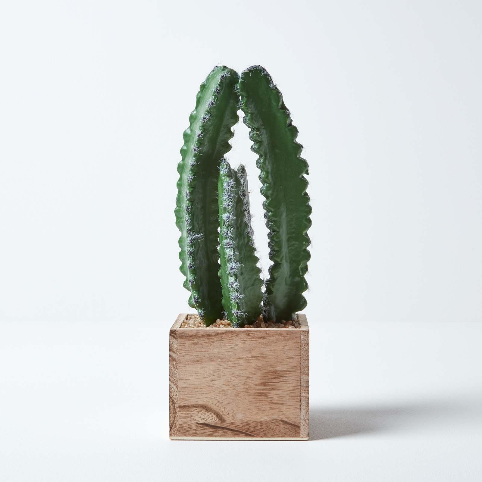 Artificial Succulent Plant Cactus/Cacti in Decorative Pot For Home/Office Décor - Picture 43 of 200