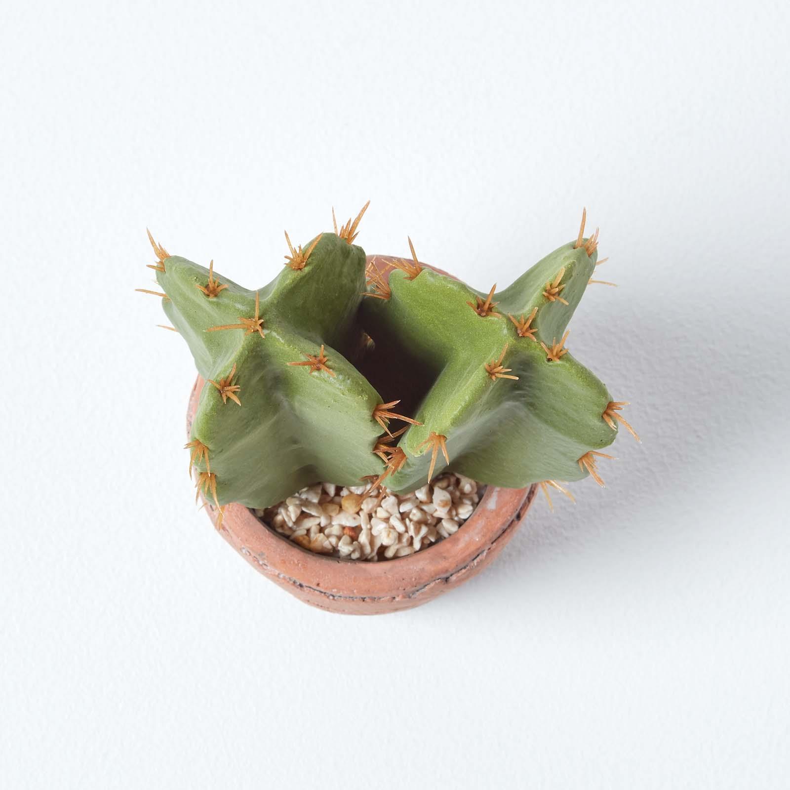 Artificial Succulent Plant Cactus/Cacti in Decorative Pot For Home/Office Décor - Picture 112 of 200