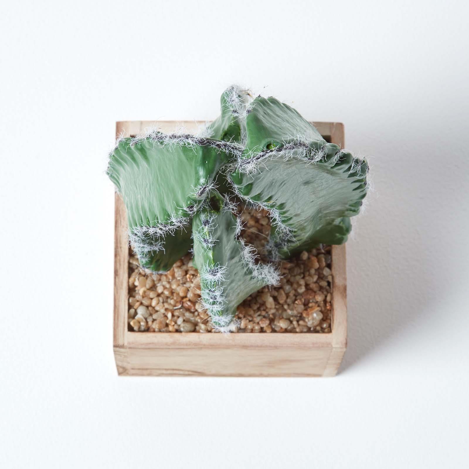 Artificial Succulent Plant Cactus/Cacti in Decorative Pot For Home/Office Décor - Picture 40 of 200