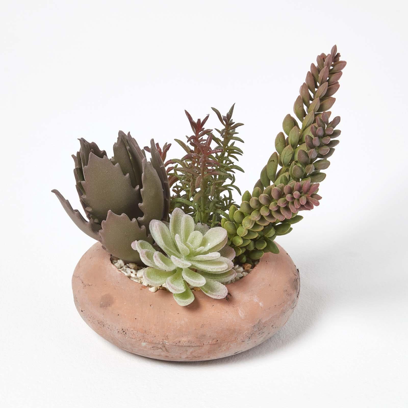 Artificial Succulent Plant Cactus/Cacti in Decorative Pot For Home/Office Décor - Picture 193 of 200