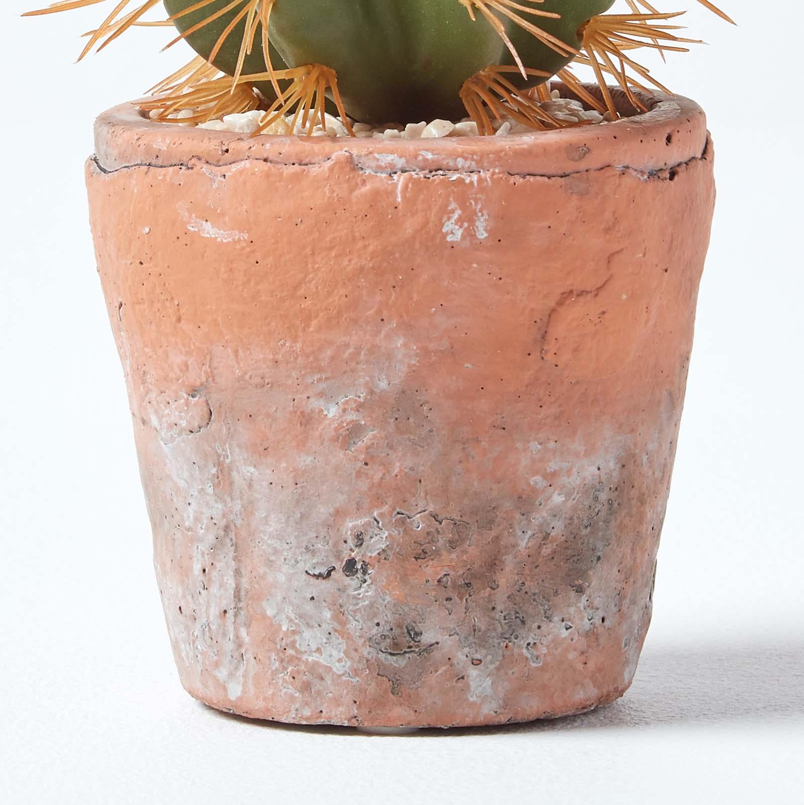 Artificial Succulent Plant Cactus/Cacti in Decorative Pot For Home/Office Décor - Picture 74 of 200