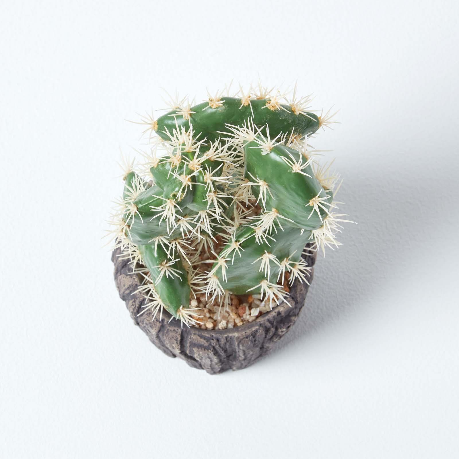 Artificial Succulent Plant Cactus/Cacti in Decorative Pot For Home/Office Décor - Picture 159 of 200