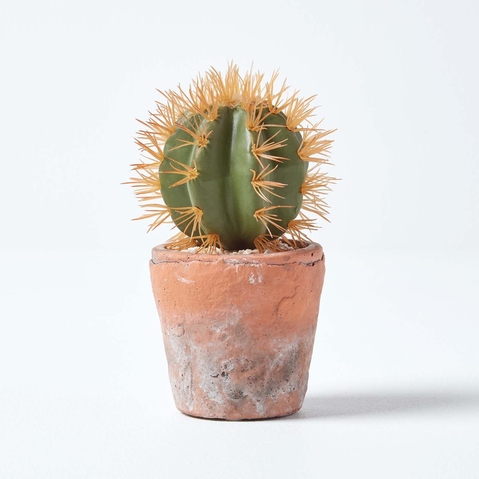 Artificial Succulent Plant Cactus/Cacti in Decorative Pot For Home/Office Décor - Picture 71 of 200