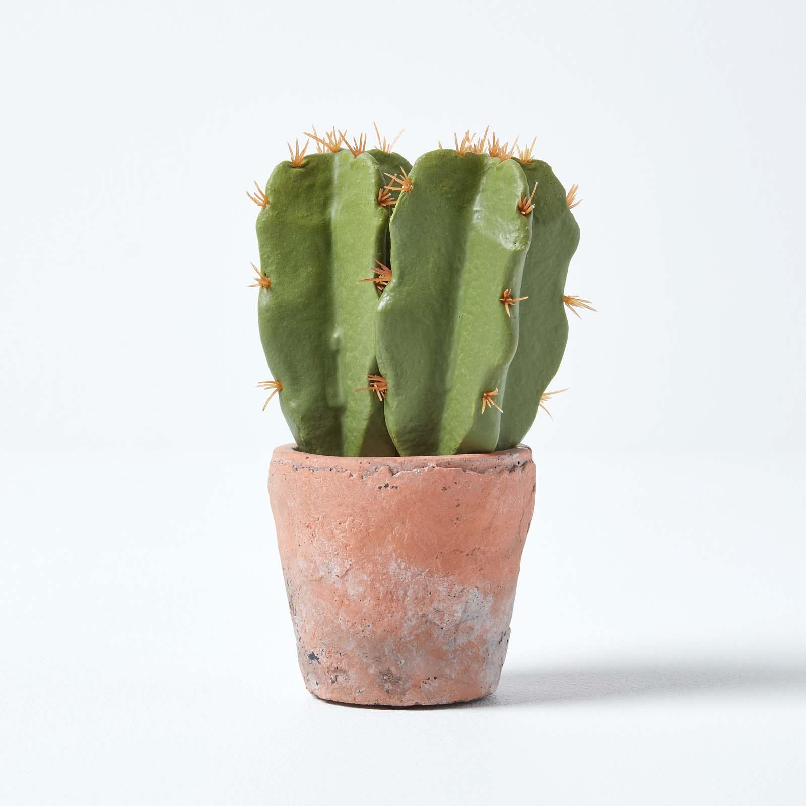 Artificial Succulent Plant Cactus/Cacti in Decorative Pot For Home/Office Décor - Picture 110 of 200