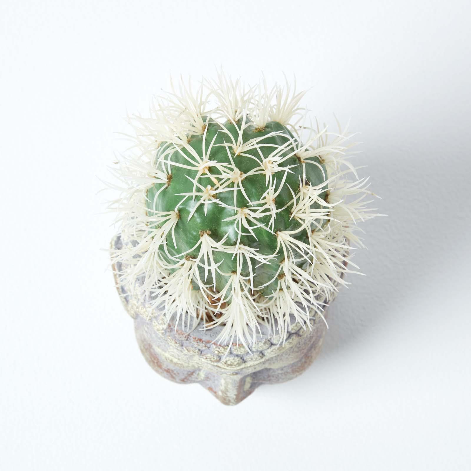Artificial Succulent Plant Cactus/Cacti in Decorative Pot For Home/Office Décor - Picture 60 of 200