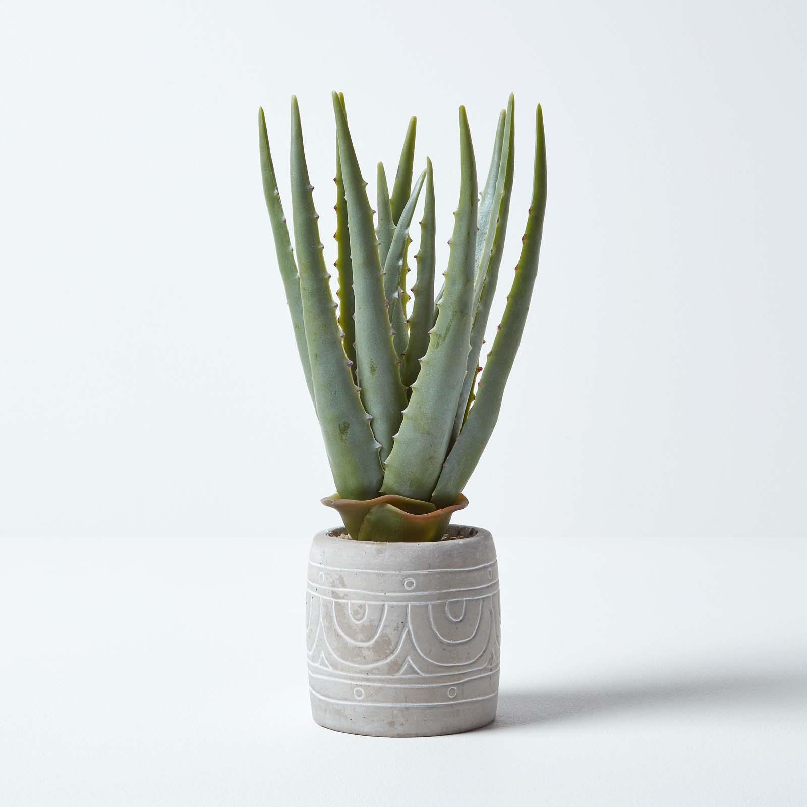 Artificial Succulent Plant Cactus/Cacti in Decorative Pot For Home/Office Décor - Picture 20 of 200