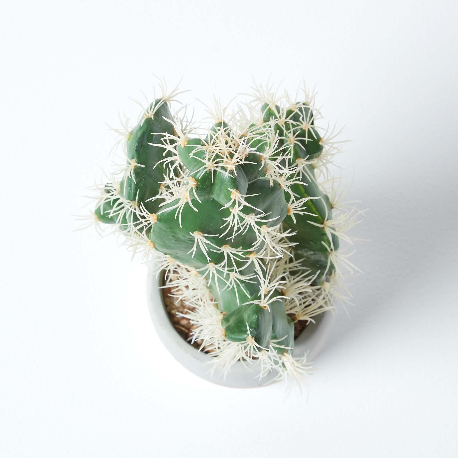 Artificial Succulent Plant Cactus/Cacti in Decorative Pot For Home/Office Décor - Picture 165 of 200