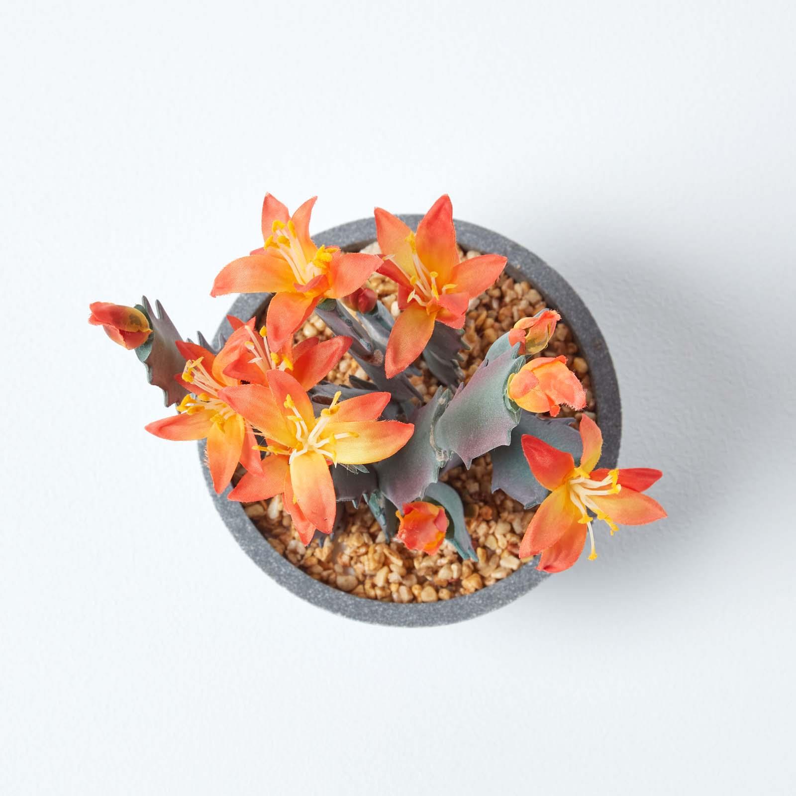 Artificial Succulent Plant Cactus/Cacti in Decorative Pot For Home/Office Décor - Picture 133 of 200
